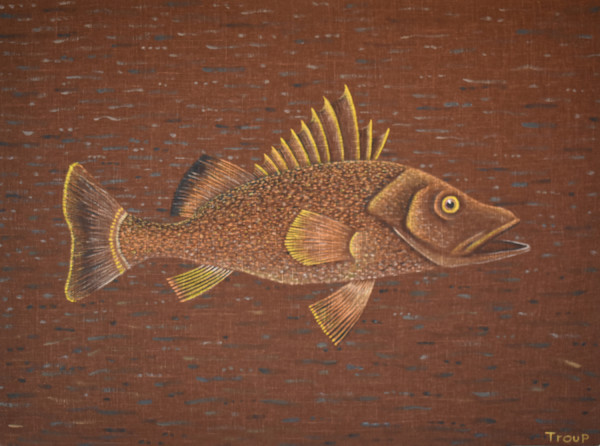 FISH WITH LARGE MOUTH by JANE TROUP