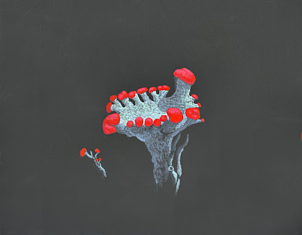 RED SOL:DIER by JANE TROUP