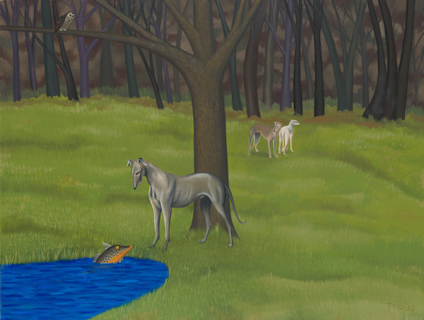 THE MESSENGER by JANE TROUP