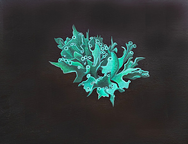 Lichen by JANE TROUP