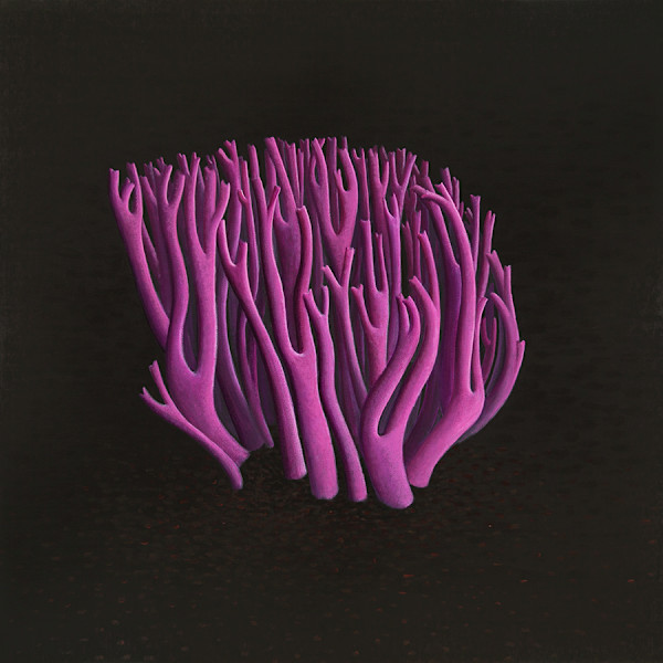 PINK CORAL by JANE TROUP