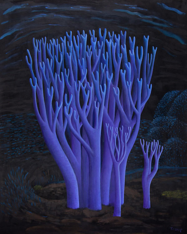 VIOLET CORAL MUSHROOMS