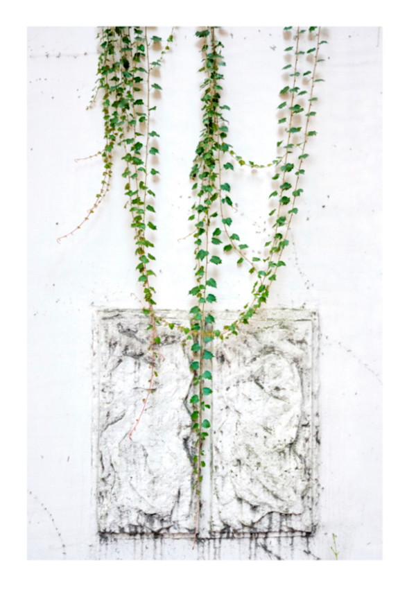 Touch of Nature #1  |  Framed by Jonathan Wheeler
