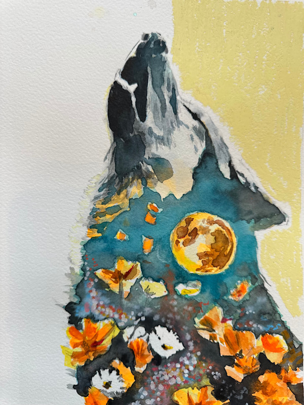 Wild Cartography no. 17 - Framed by Anna Wise