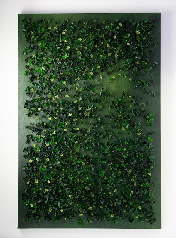 Forest by Anna Togrye