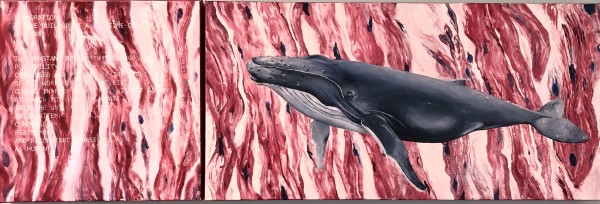 Whale and Heart Muscle