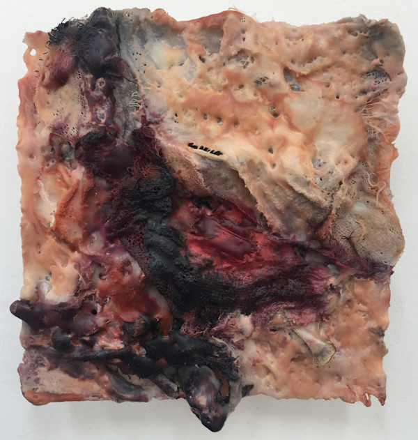 Substance 1/Flesh and Blood by Marilyn Banner, Image 1.