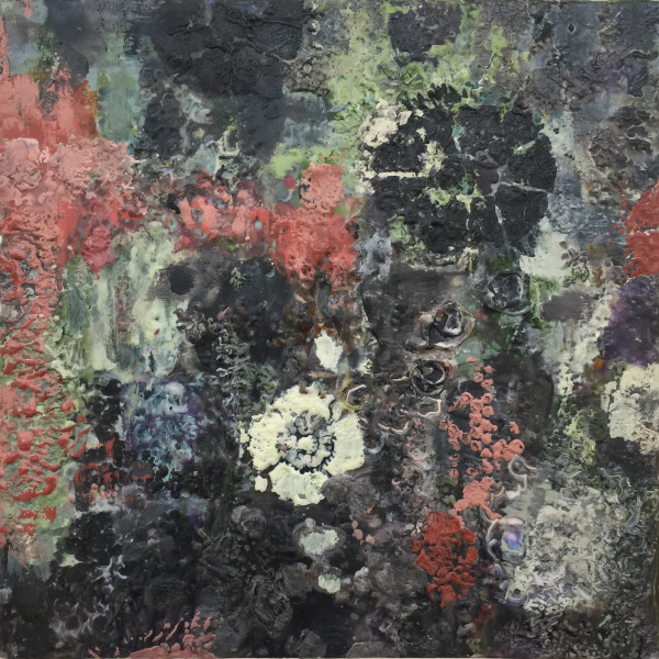 Lichen Sounds 2 by Marilyn Banner