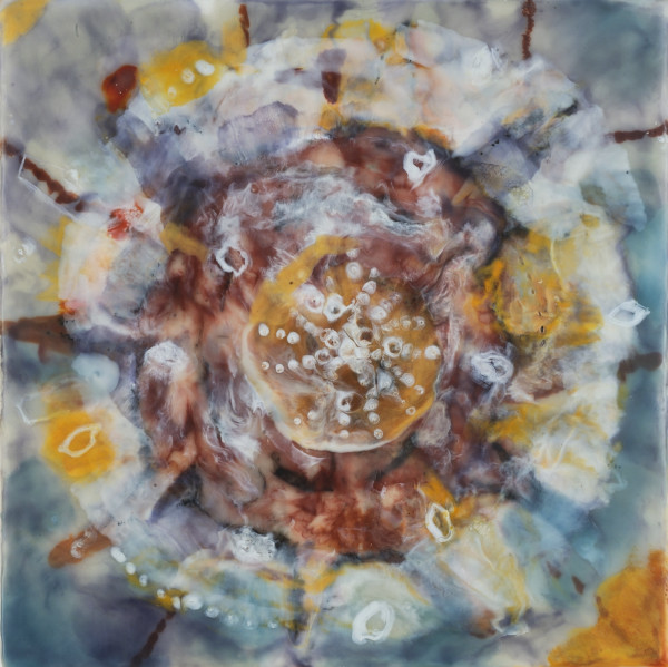 Mandala Shell 3 by Marilyn Banner
