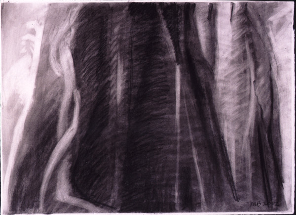 Charcoal Trunk 1