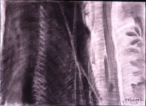 Charcoal Trunk 3