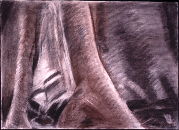 Charcoal Trunk 4