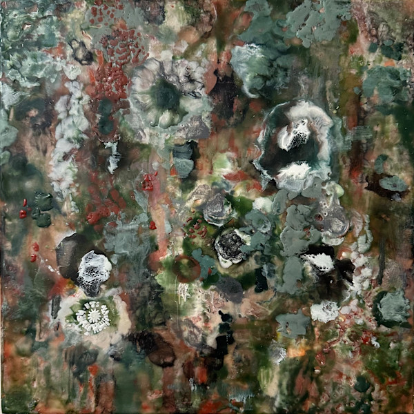 Discovery (First Lichen) by Marilyn Banner, Image 1.