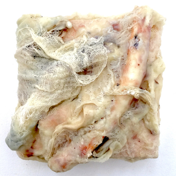 Substance 2/Flesh and Bone by Marilyn Banner, Image 2.