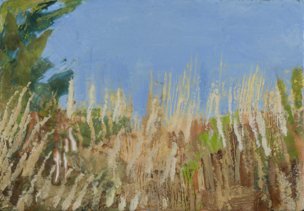 Sunlit Grasses by Marilyn Banner