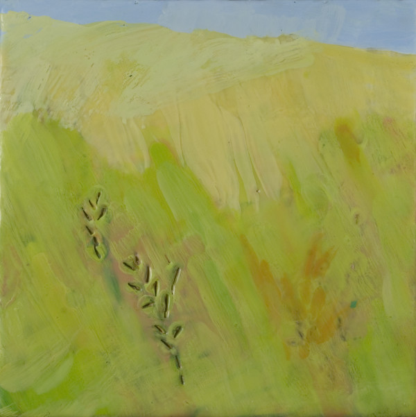 Grasses 5