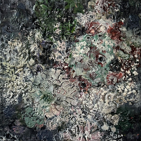 Lichen Sounds 5 by Marilyn Banner, Image 1.
