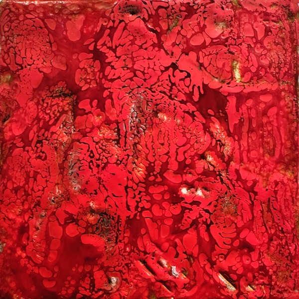 Red Fabric by Marilyn Banner