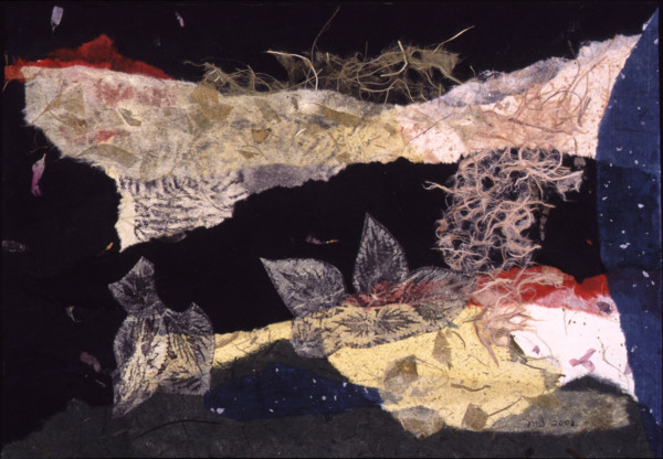 The Road to Monteverde by Marilyn Banner