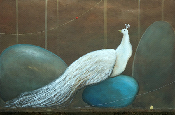 White peacock by Mojca Fo