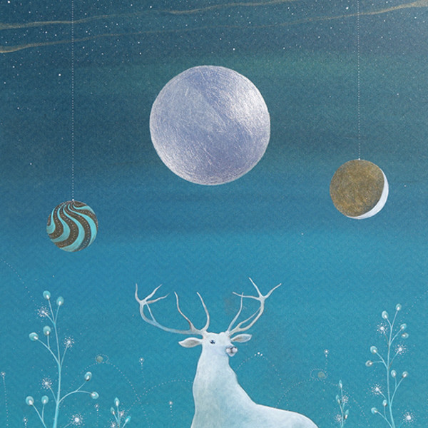 White reindeer by Mojca Fo