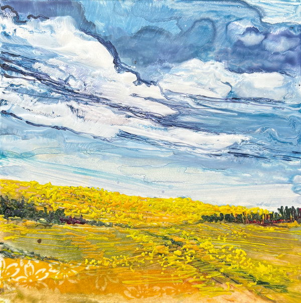 Canola Starting by Diane Larouche Ellard