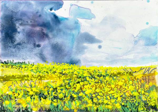 Canola Storm by Diane Larouche Ellard