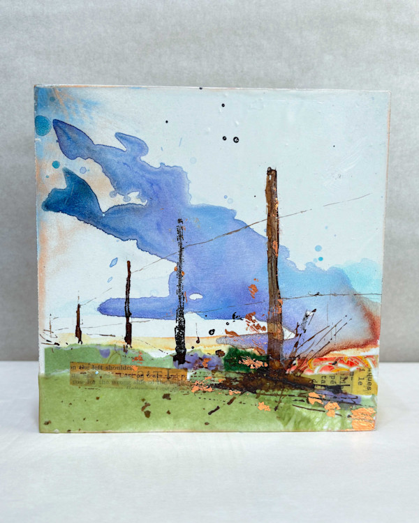 Clean Fenceline by Diane Larouche Ellard