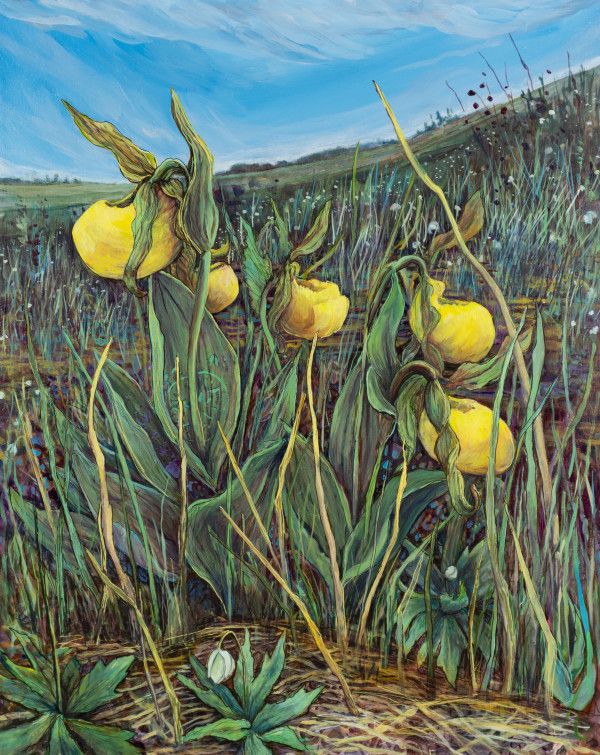 Prairie Orchids by Diane Larouche Ellard