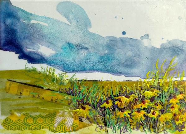 Susans in the Field by Diane Larouche Ellard