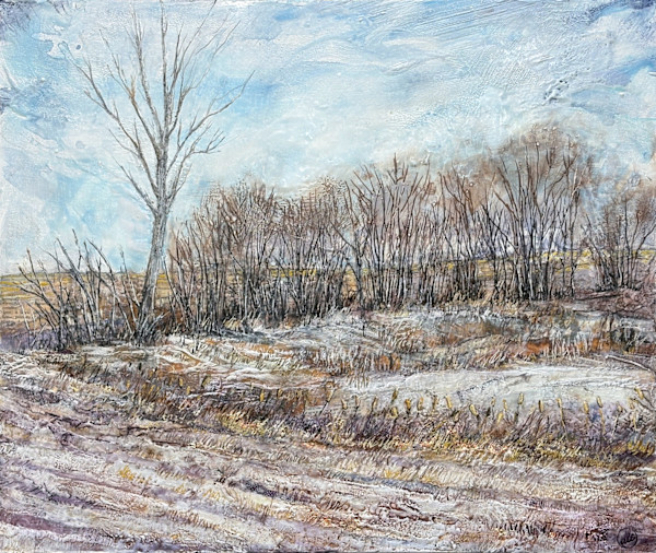 Winter Textures by Diane Larouche Ellard