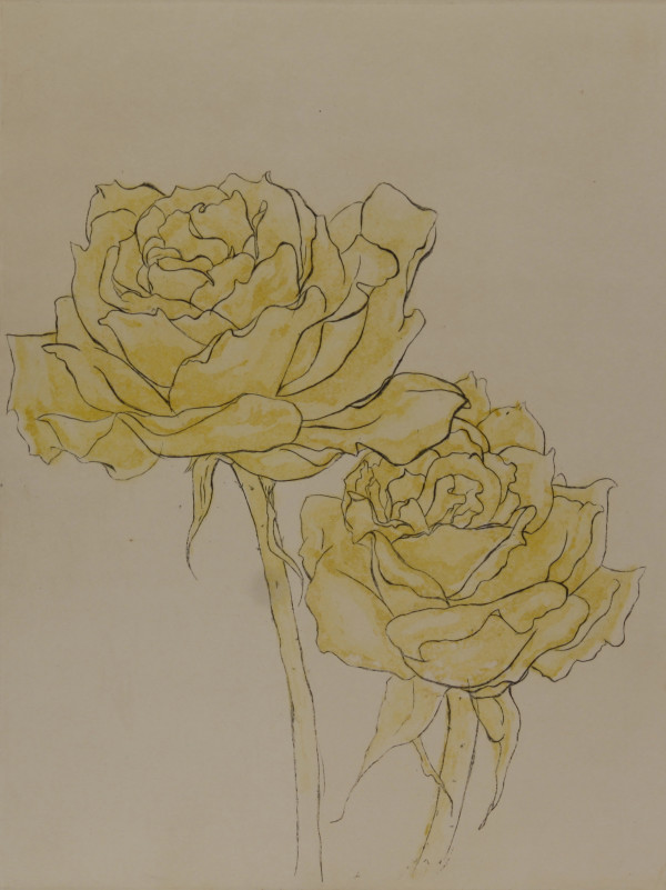 Yellow Roses by Carol Zirkle