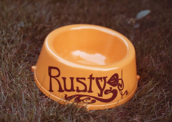 Rusty Water Dish by Carol Zirkle