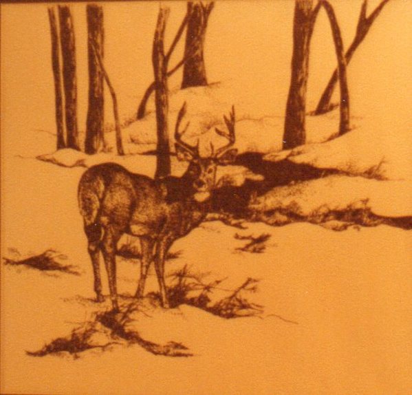 Stippled Deer by Carol Zirkle