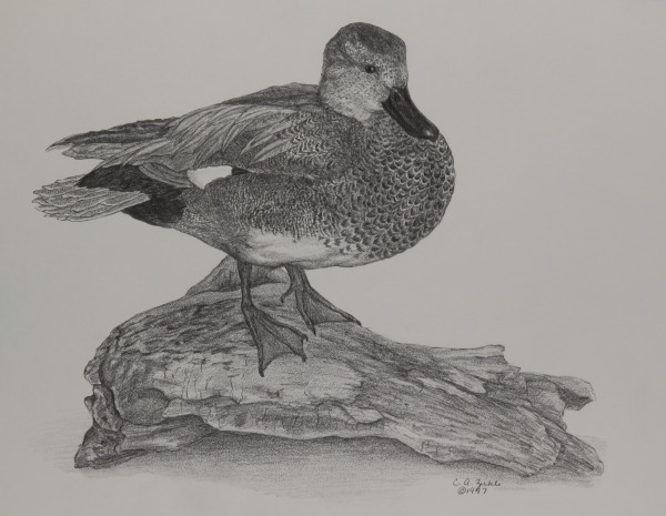 Duck by Carol Zirkle