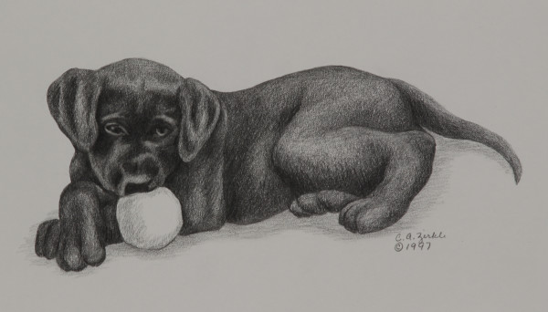 Lab Puppy with Ball by Carol Zirkle