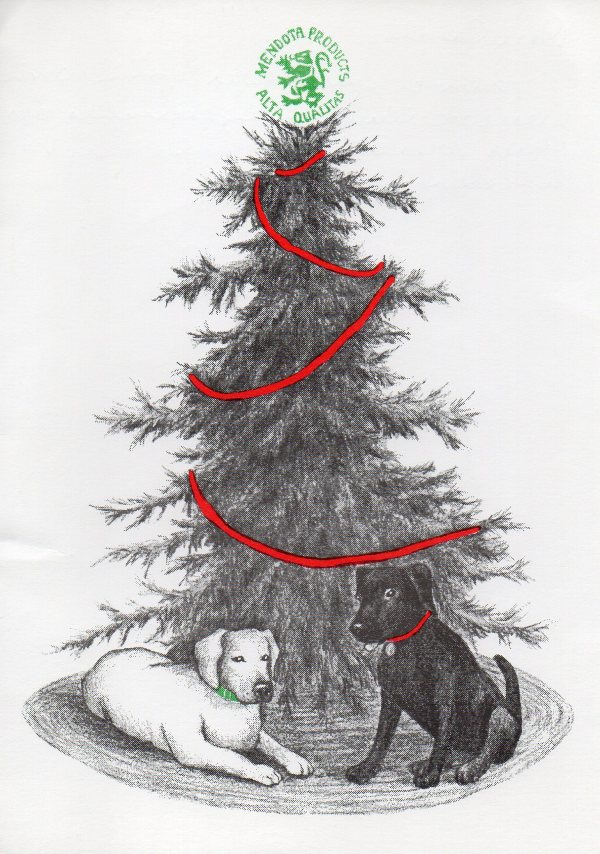 1998 Medota Products Christmas Card by Carol Zirkle