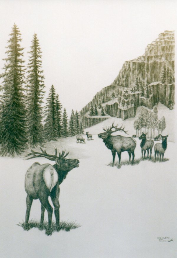 Elk Hunt (drawing 1) by Carol Zirkle