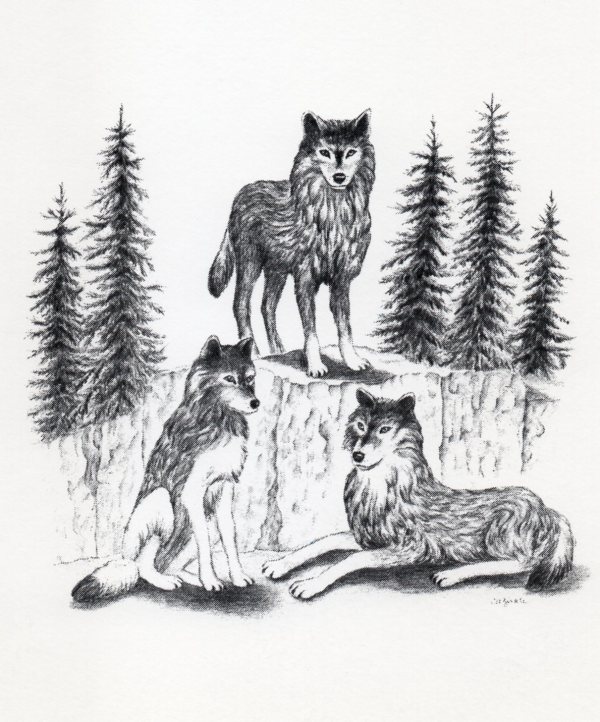 Wolves by Carol Zirkle