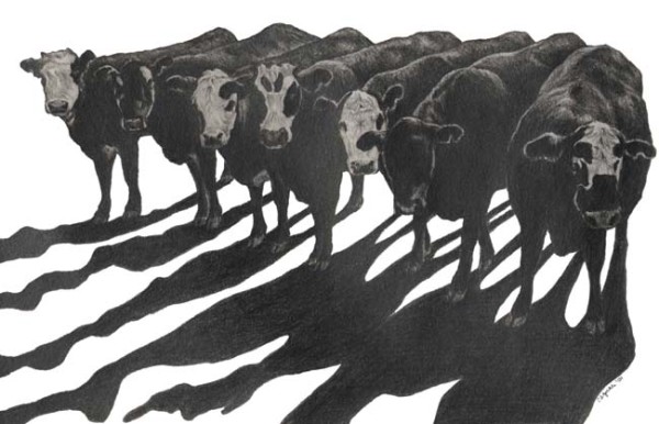 Seven Cows by Carol Zirkle