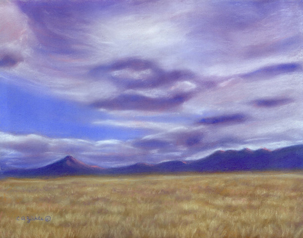 Blue Sky Yellow Grass II by Carol Zirkle