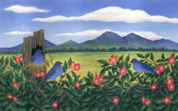 Bluebirds & Wild Roses by Carol Zirkle