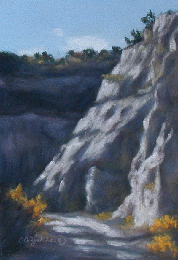 Canyon Light by Carol Zirkle