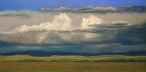 Distant Storm by Carol Zirkle
