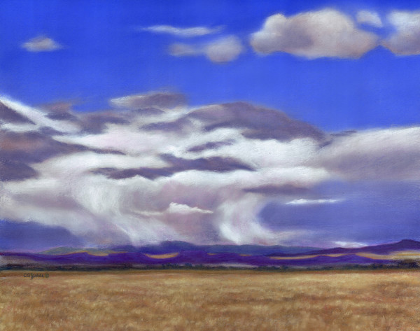 Evening Storm by Carol Zirkle