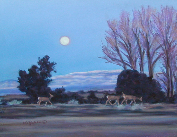 Evening Stroll by Carol Zirkle
