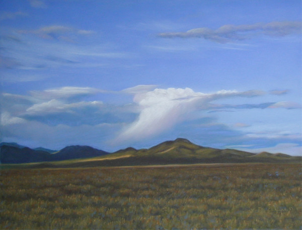 Evening Squall by Carol Zirkle