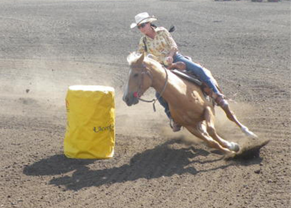 Michelle & Levi Flying by Carol Zirkle