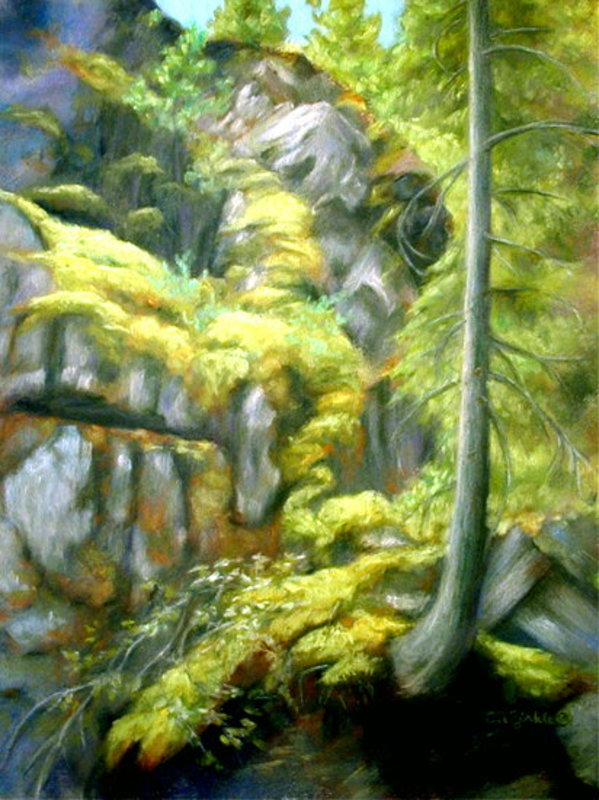 Moss on Rocks by Crow Creek Falls by Carol Zirkle
