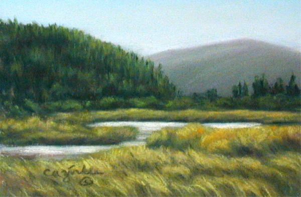 Mountain Low Lands by Carol Zirkle